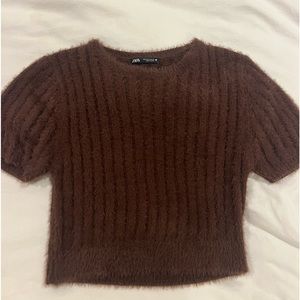 Zara Brown Faux Fur Cropped Sweater